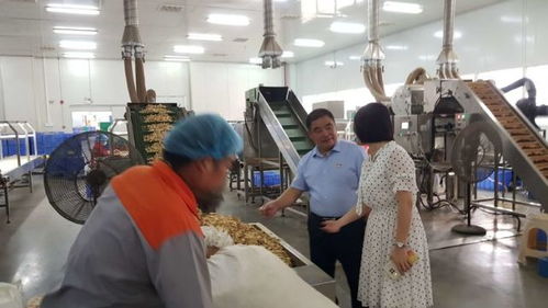 湘西國(guó)家農(nóng)科園赴寧鄉(xiāng)國(guó)家農(nóng)業(yè)科技園區(qū)考察學(xué)習(xí)，共謀農(nóng)業(yè)高質(zhì)量發(fā)展與信息技術(shù)咨詢服務(wù)創(chuàng)新